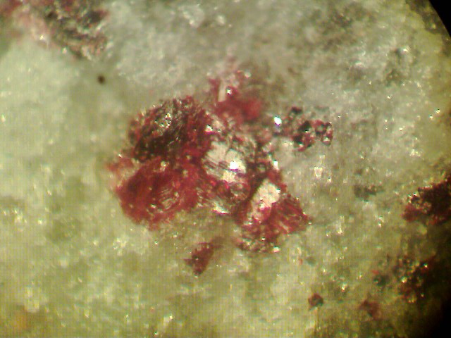 Вкрапления киновари (красные) в материнской породе. Сахалинское месторождение, отвалы штольни № 5. Увеличено в 56 раз.