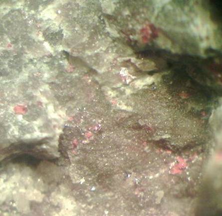 Вкрапления киновари (красные) в материнской породе. Сахалинское месторождение, отвалы штольни № 5. Увеличено в 16 раз.