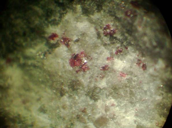 Вкрапления киновари (красные) в материнской породе. Сахалинское месторождение, отвалы штольни № 5. Увеличено в 16 раз.