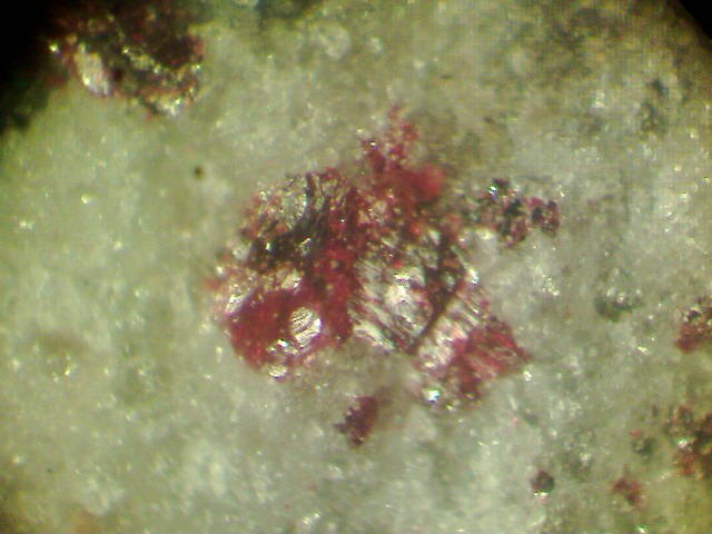 Вкрапления киновари (красные) в материнской породе. Сахалинское месторождение, отвалы штольни № 5. Увеличено в 56 раз.