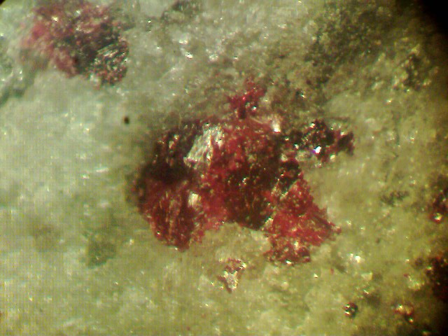 Вкрапления киновари (красные) в материнской породе. Сахалинское месторождение, отвалы штольни № 5. Увеличено в 56 раз.