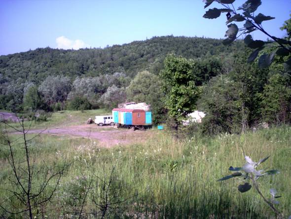 Возле них стоят несколько передвижных пасек.